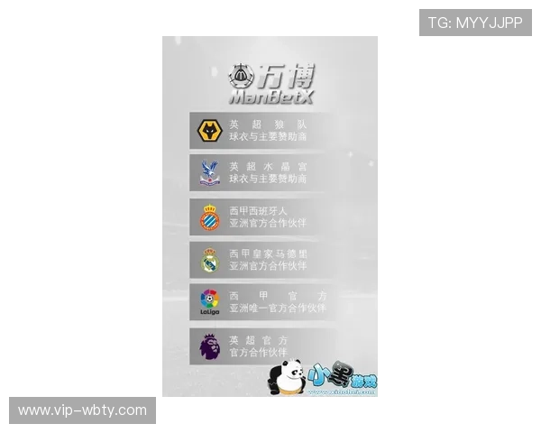 下载万博app下载3.0app保证安全稳定的完整流程解析